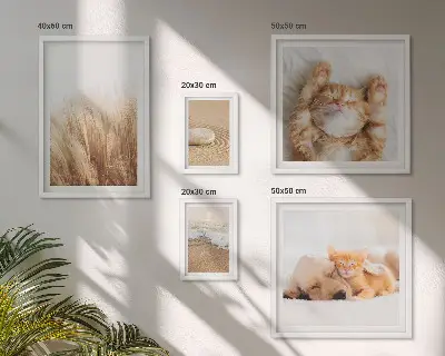 Conjunto de cuadros decorativos con lindos paisajes y animales