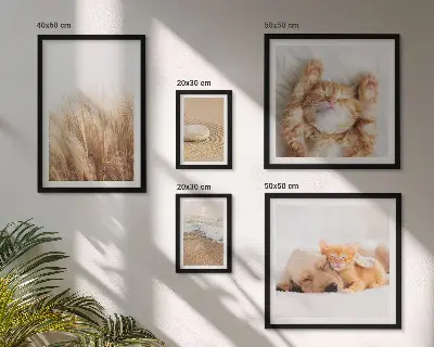 Conjunto de cuadros decorativos con lindos paisajes y animales