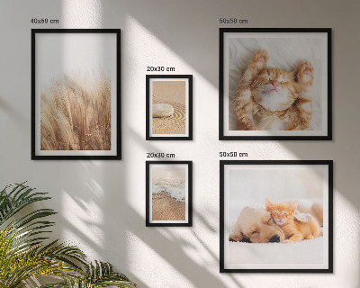 Conjunto de cuadros decorativos Lindos paisajes con animales