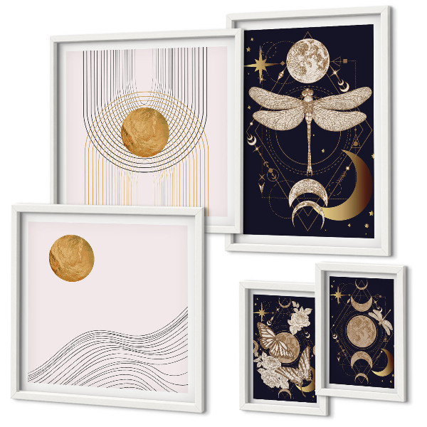 Set de 5 cuadros para salón Elegantes motivos de insectos espaciales