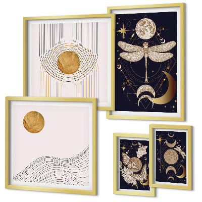 Set de 5 cuadros para salón Elegantes motivos de insectos espaciales