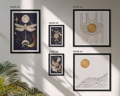 Set de 5 cuadros para salón Elegantes motivos de insectos espaciales