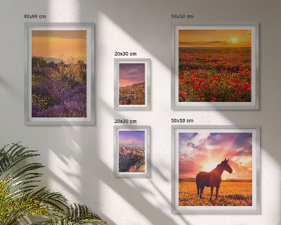 Set de 5 cuadros para salón Paisajes naturales, caballos, flores