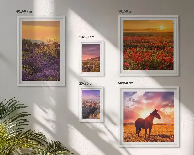 Set de 5 cuadros para salón con paisajes naturales de caballos y flores