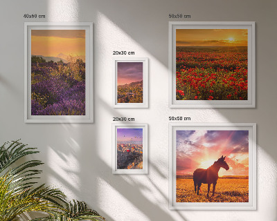Set de 5 cuadros para salón Paisajes naturales, caballos, flores