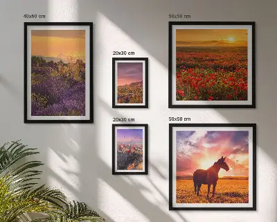 Set de 5 cuadros para salón con paisajes naturales de caballos y flores