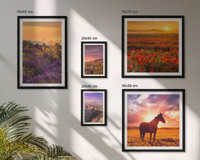Set de 5 cuadros para salón Paisajes naturales, caballos, flores