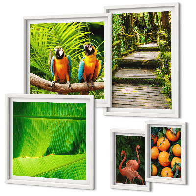 Conjunto de cuadros decorativos motivos de frutas de la naturaleza tropical