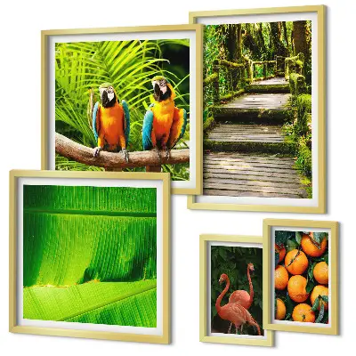 Conjunto de cuadros decorativos con motivos de frutas tropicales
