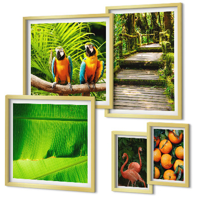 Conjunto de cuadros decorativos motivos de frutas de la naturaleza tropical