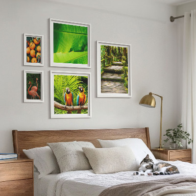 Conjunto de cuadros decorativos motivos de frutas de la naturaleza tropical