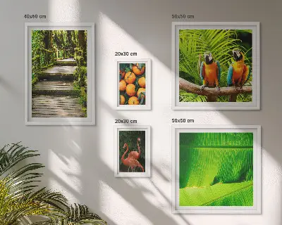 Conjunto de cuadros decorativos con motivos de frutas tropicales