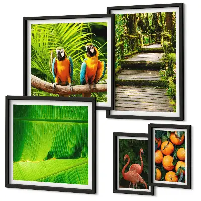 Conjunto de cuadros decorativos con motivos de frutas tropicales