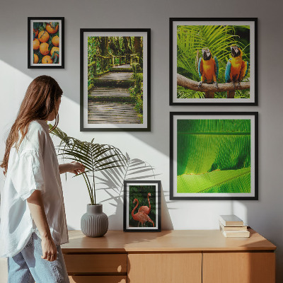 Conjunto de cuadros decorativos motivos de frutas de la naturaleza tropical