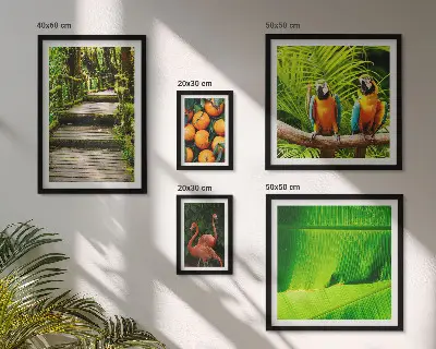 Conjunto de cuadros decorativos con motivos de frutas tropicales