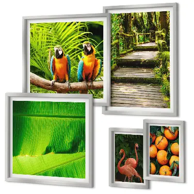 Conjunto de cuadros decorativos con motivos de frutas tropicales