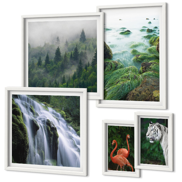 Set de 5 cuadros para salón Naturaleza, animales salvajes, paisajes