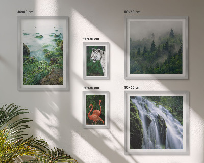 Set de 5 cuadros para salón Naturaleza, animales salvajes, paisajes