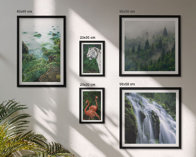 Set de 5 cuadros para salón Naturaleza, animales salvajes, paisajes