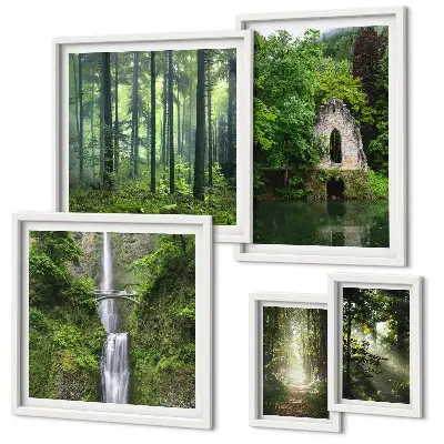 Conjunto de cuadros decorativos de bosques verdes y cascadas con temática de naturaleza