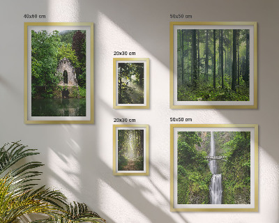 Conjunto de cuadros decorativos Bosques verdes, cascadas, naturaleza