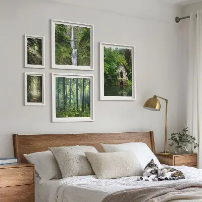 Conjunto de cuadros decorativos de bosques verdes y cascadas con temática de naturaleza