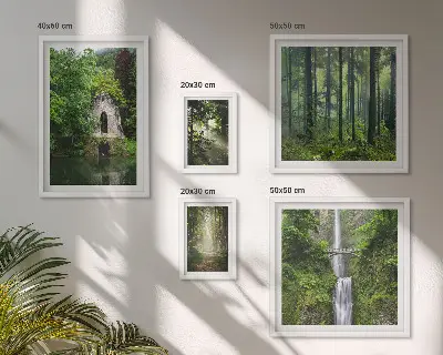 Conjunto de cuadros decorativos de bosques verdes y cascadas con temática de naturaleza