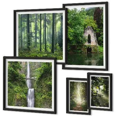 Conjunto de cuadros decorativos de bosques verdes y cascadas con temática de naturaleza