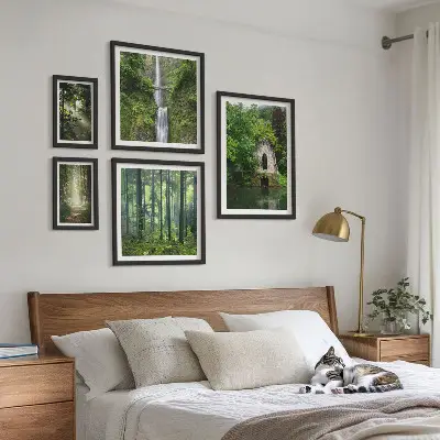 Conjunto de cuadros decorativos de bosques verdes y cascadas con temática de naturaleza