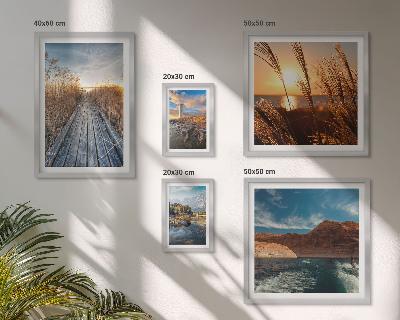 Pared galería de arte Paisajes, agua, vegetación, sendero