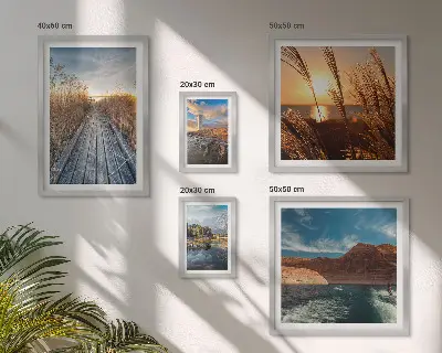 Pared galería de arte paisajes con agua, vegetación y sendero
