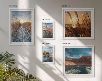 Pared galería de arte paisajes con agua, vegetación y sendero