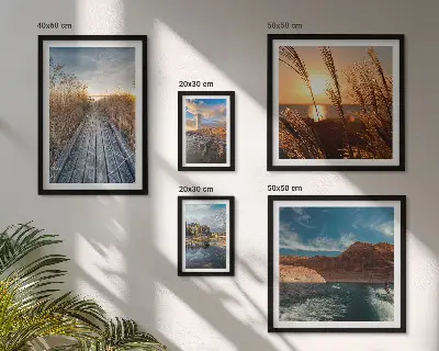 Pared galería de arte paisajes con agua, vegetación y sendero