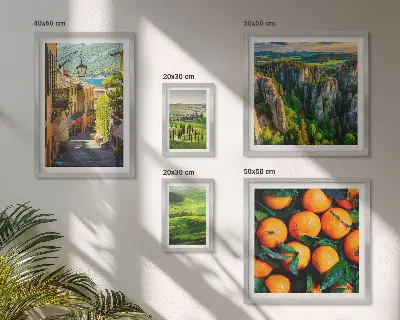 Conjunto de cuadros decorativos de encantadores paisajes rurales