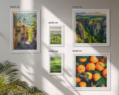 Conjunto de cuadros decorativos Encantadores paisajes rurales