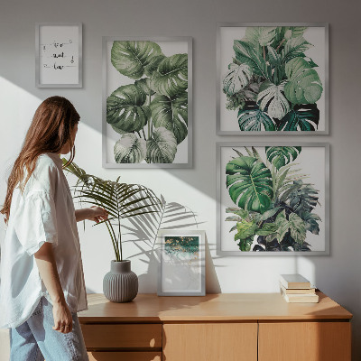 Pared galería de arte Inspiraciones modernas para plantas