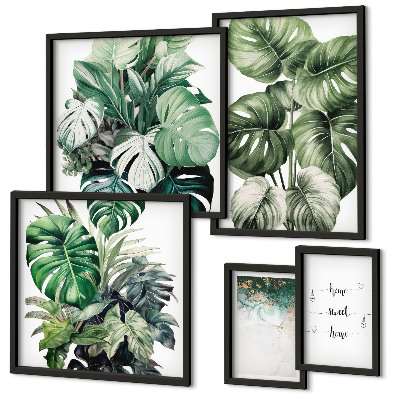 Pared galería de arte Inspiraciones modernas para plantas