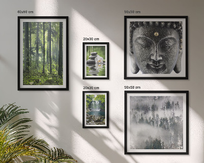 Set de 5 cuadros para salón Temas relajantes de la naturaleza zen