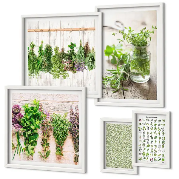 Set de 5 cuadros decorativos para salón diseño con motivos de hierbas aromáticas