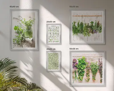 Set de 5 cuadros decorativos para salón diseño con motivos de hierbas aromáticas