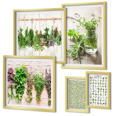 Set de 5 cuadros decorativos para salón diseño con motivos de hierbas aromáticas