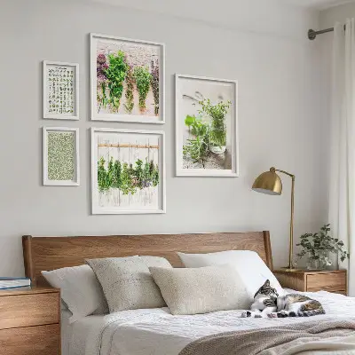Set de 5 cuadros decorativos para salón diseño con motivos de hierbas aromáticas