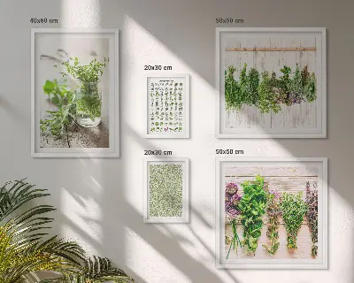 Set de 5 cuadros decorativos para salón diseño con motivos de hierbas aromáticas