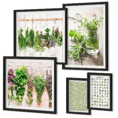 Set de 5 cuadros decorativos para salón diseño con motivos de hierbas aromáticas