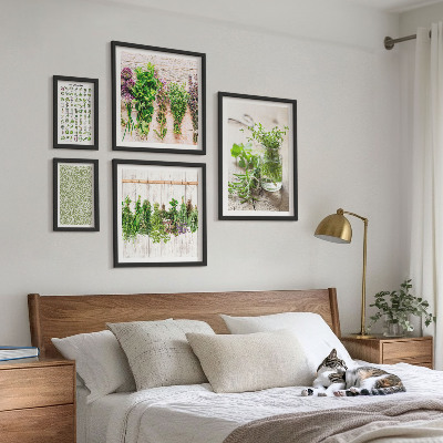 Set de 5 cuadros para salón Ideas para la decoración con hierbas