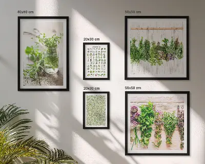 Set de 5 cuadros decorativos para salón diseño con motivos de hierbas aromáticas