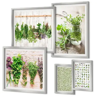 Set de 5 cuadros decorativos para salón diseño con motivos de hierbas aromáticas