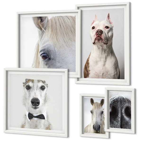 Pared galería de arte Retratos de animales modernos