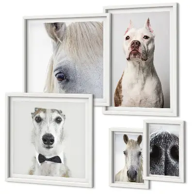 Retratos de animales modernos decoración para pared de galería de arte