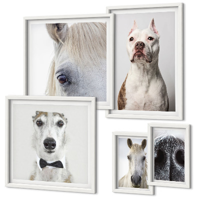 Pared galería de arte Retratos de animales modernos